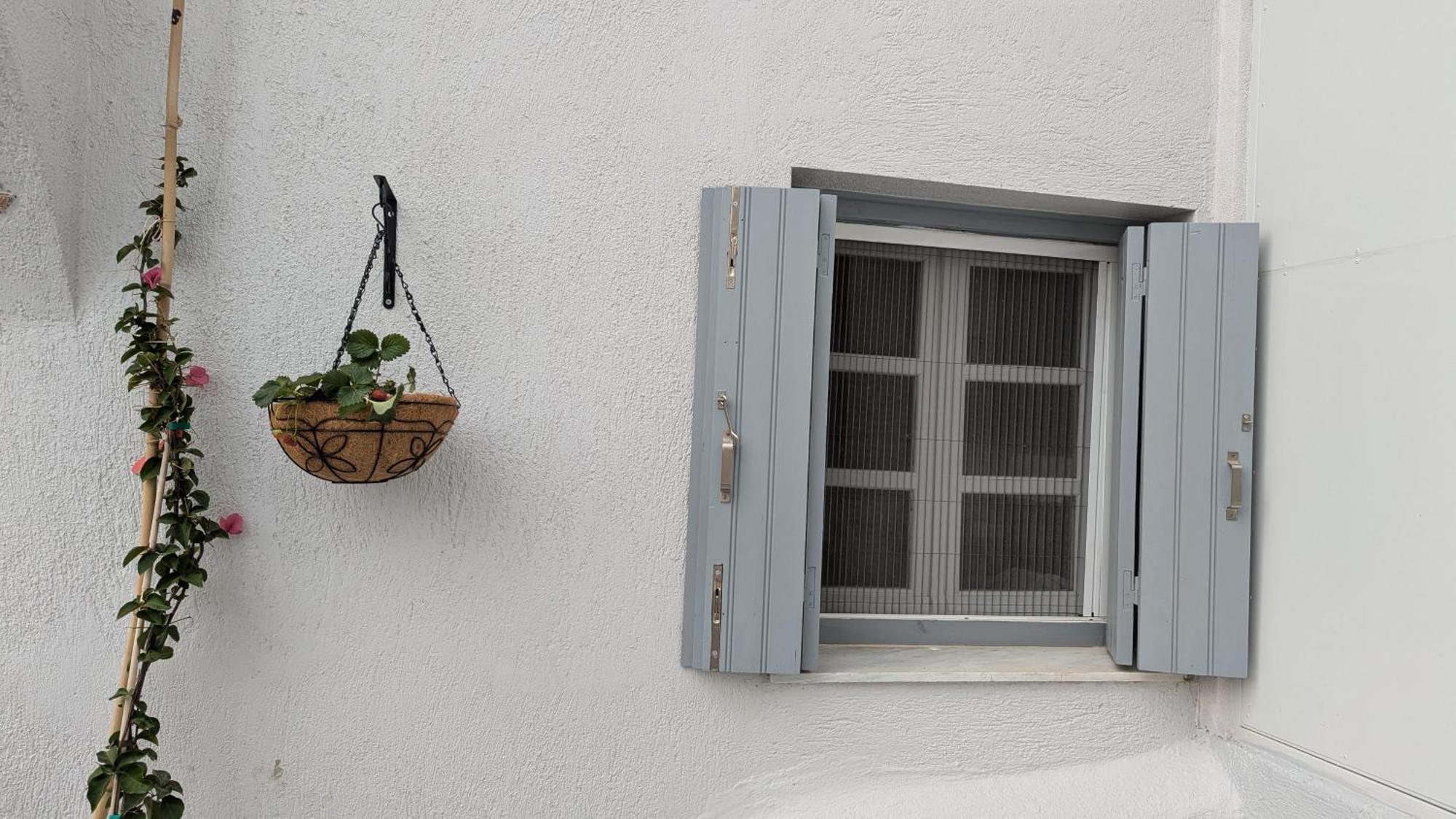 The Botanist Guesthouse Szkópelosz Kültér fotó