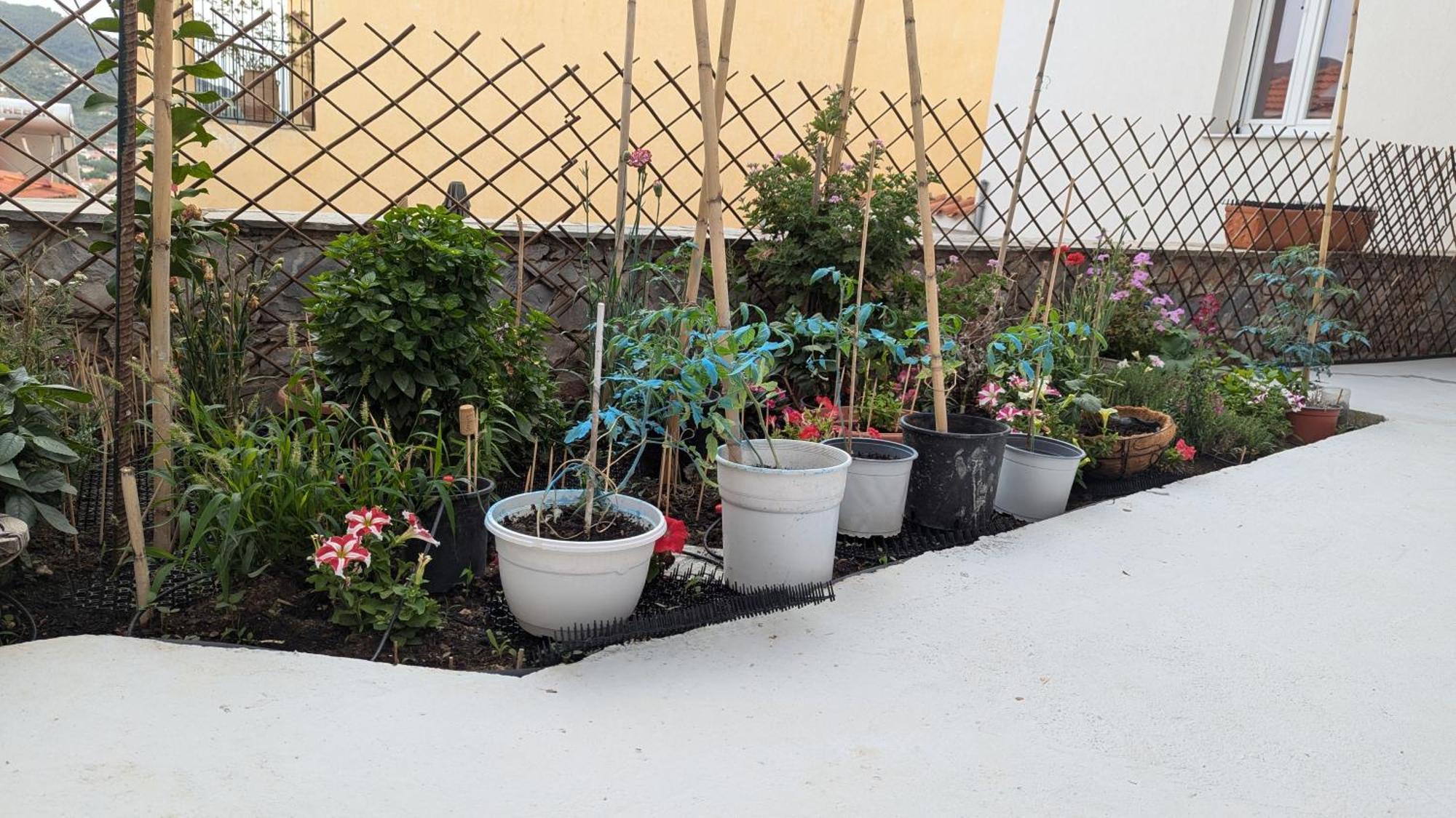 The Botanist Guesthouse Szkópelosz Kültér fotó