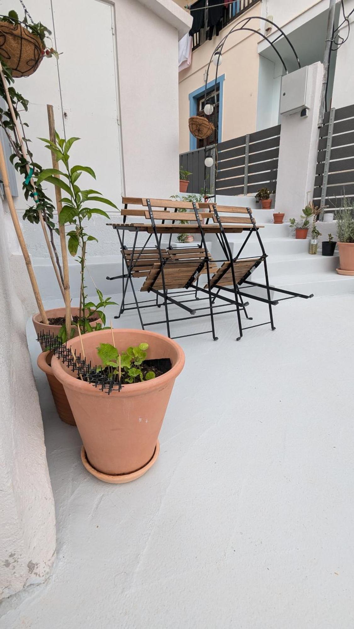 The Botanist Guesthouse Szkópelosz Kültér fotó
